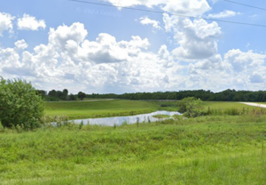 Field full of weeds that have been sprayed by roundup before calling a Roundup Lawyer Watkinsville GA