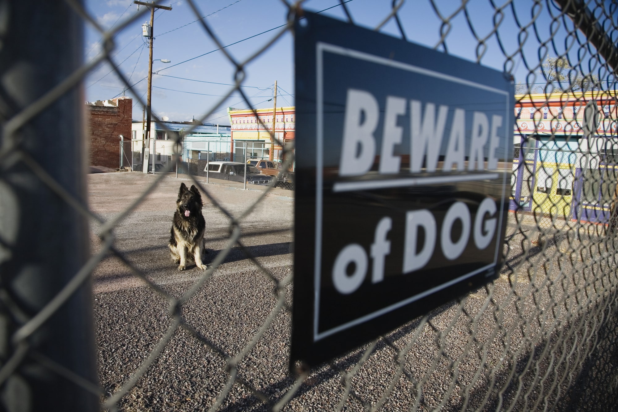 dog bite lawyer Lawrenceville, GA