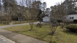 Pineywoods Art Gallery Winterville Athens, GA