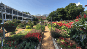 Trial Gardens 5 Points Athens, GA